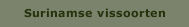 Surinamse vissoorten